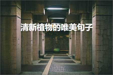 鎻忓啓榛勬槒閮藉競鐨勫敮缇庡彞瀛愶紙鏂囨5鏉★級