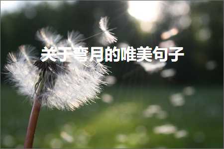 鍏充簬寮湀鐨勫敮缇庡彞瀛愶紙鏂囨465鏉★級