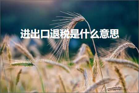 跨境电商知识:进出口退税是什么意思