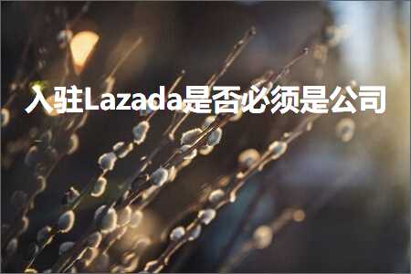 跨境电商知识:入驻Lazada是否必须是公司