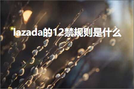 璺ㄥ鐢靛晢鐭ヨ瘑:lazada鐨?2绂佽鍒欐槸浠€涔? width=