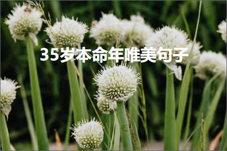 关于春天雨后的唯美句子（文案704条）