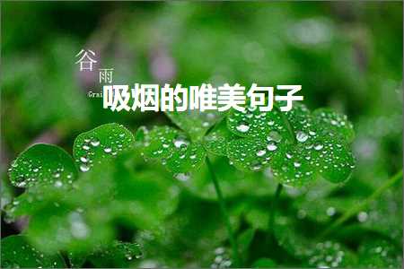 妯辫姳鐨勫敮缇庝激鎰熷彞瀛愶紙鏂囨528鏉★級