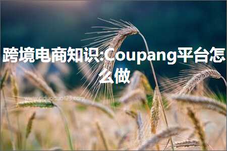 跨境电商知识:Coupang平台怎么做