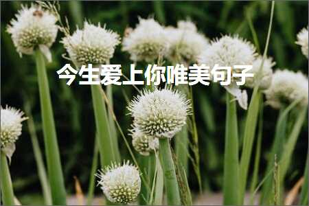 濂藉績鎬佸敮缇庡彞瀛愶紙鏂囨377鏉★級