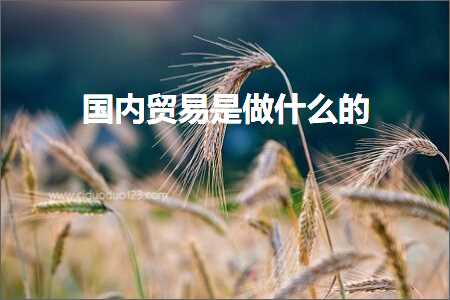 跨境电商知识:国内贸易是做什么的