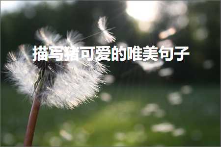 椋庢櫙涓庝汉鐨勫敮缇庡彞瀛愶紙鏂囨242鏉★級